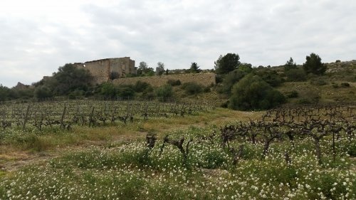 Air de camping car les Flots Bleus. — Camperplaats in Narbonne