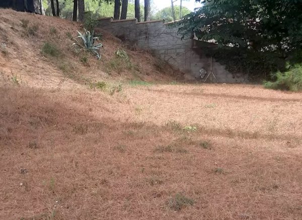 Le roque — Photo 2