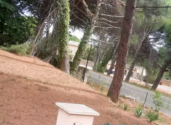 Le roque — Photo 6