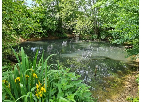 Terrain au bord du canal de Bourgogne — Photo 3