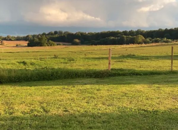 Skovgården — Photo 2