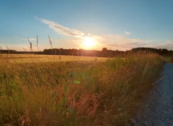 Skovgården — Photo 4