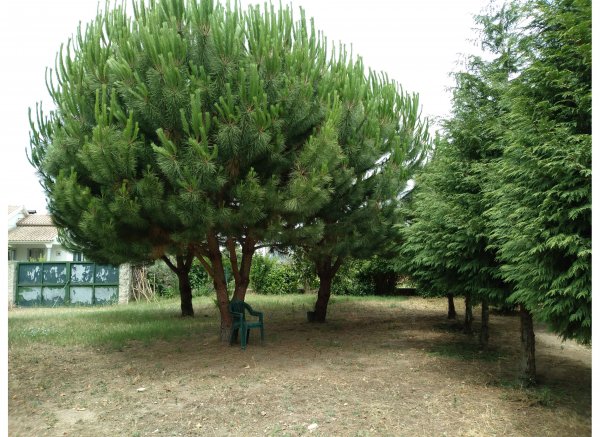 Eco Quintinha das Carvalhas — Photo 2