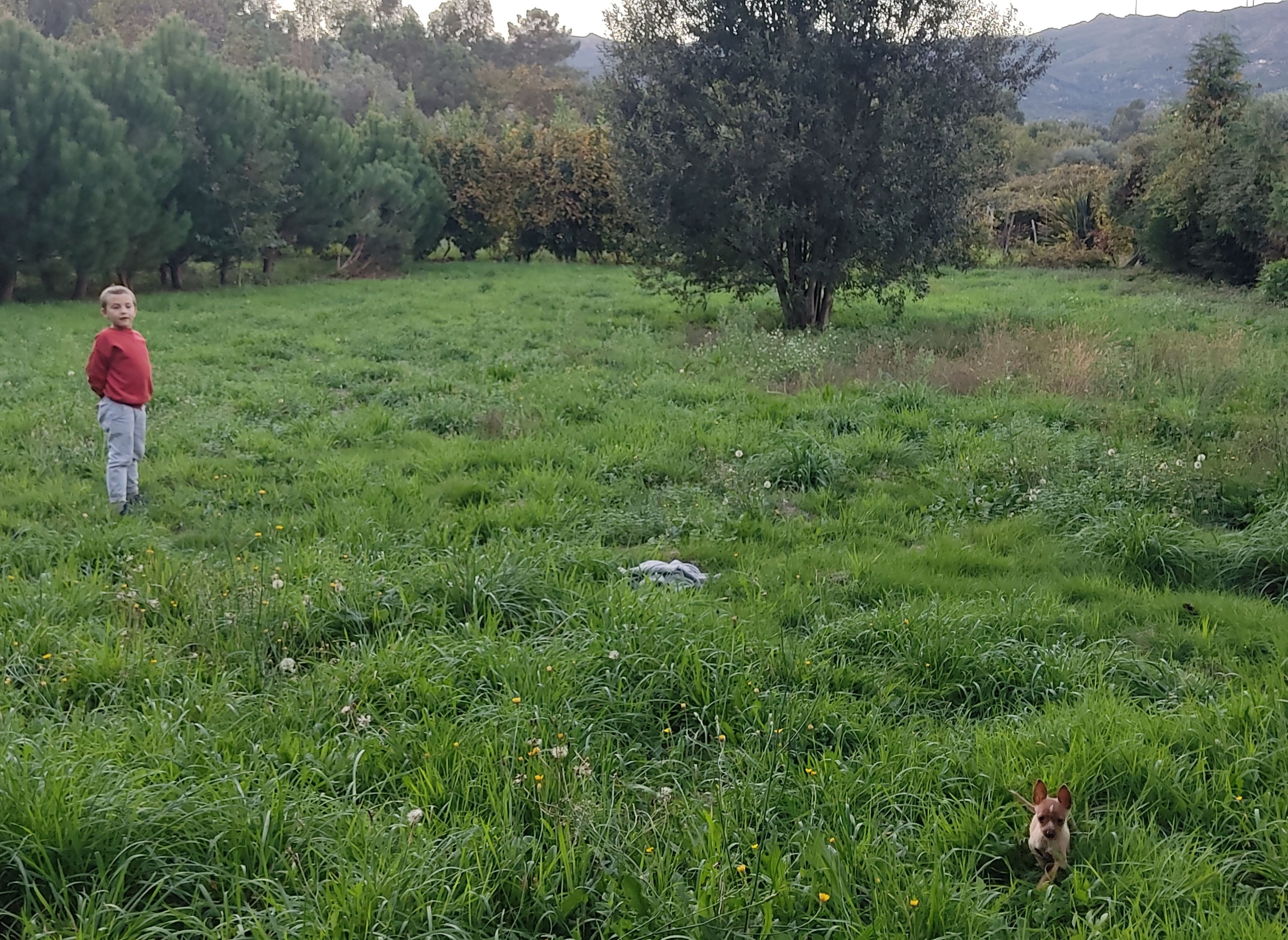 Campismo selvagem Val — Місце для кемперів in Tondela