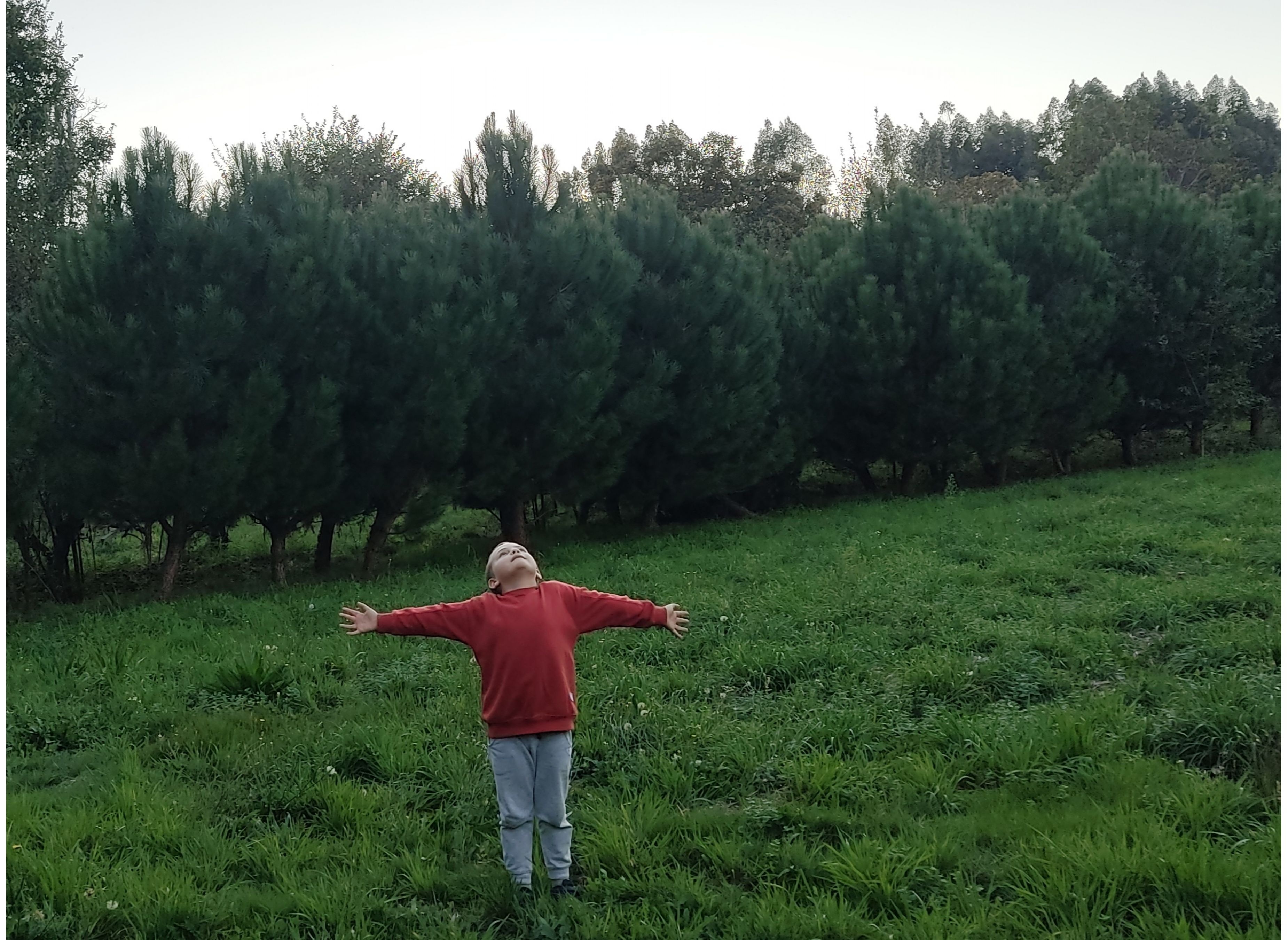 Campismo selvagem Val — Camperplads in Tondela