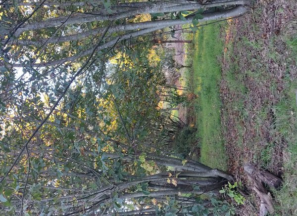 Campismo selvagem Val — Photo 2