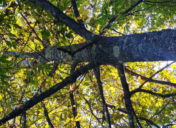 Campismo selvagem Val — Photo 3