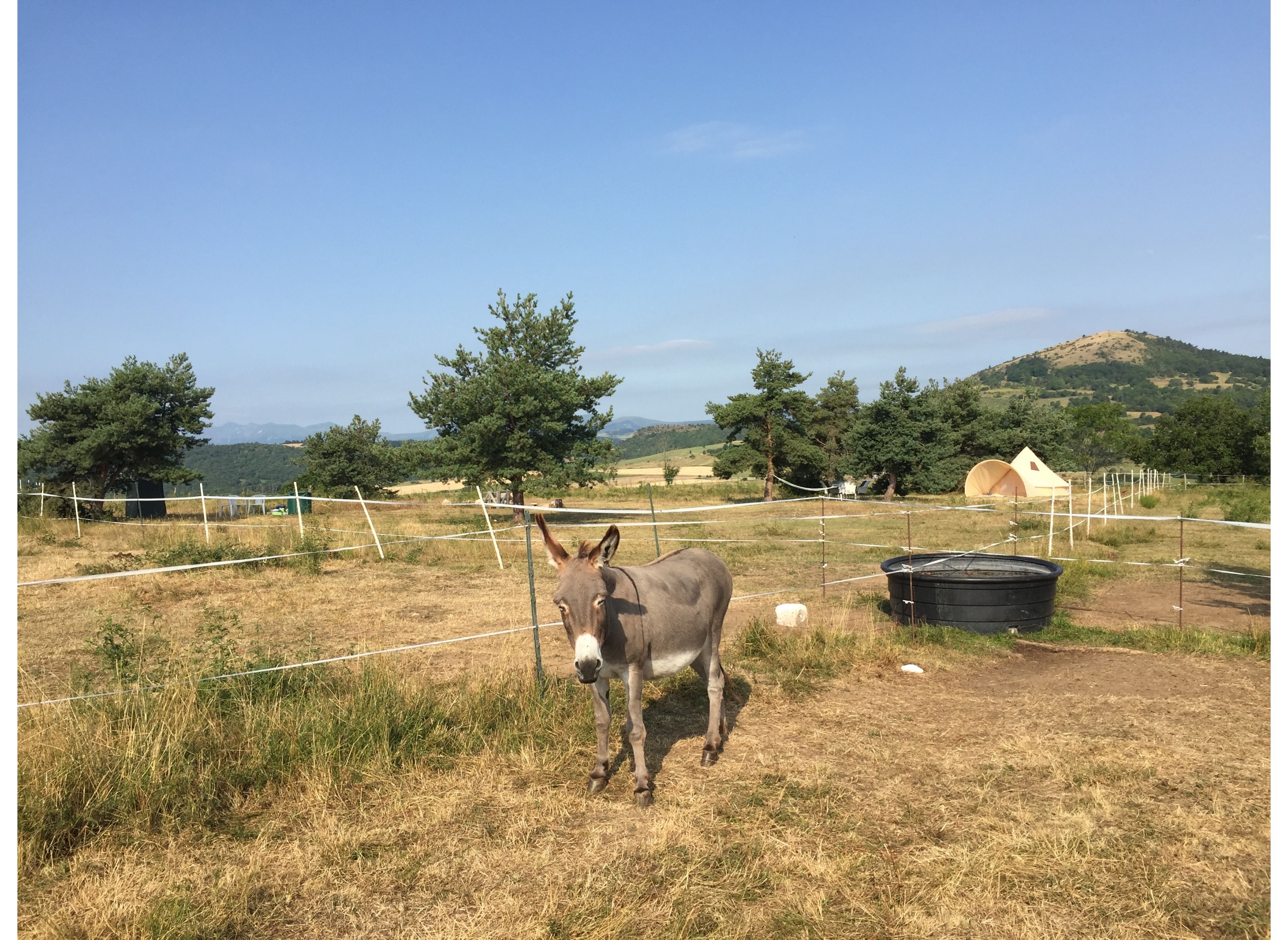 Lama Gîte des Puys — Sítio para autocaravanas in Montaigut-le-Blanc