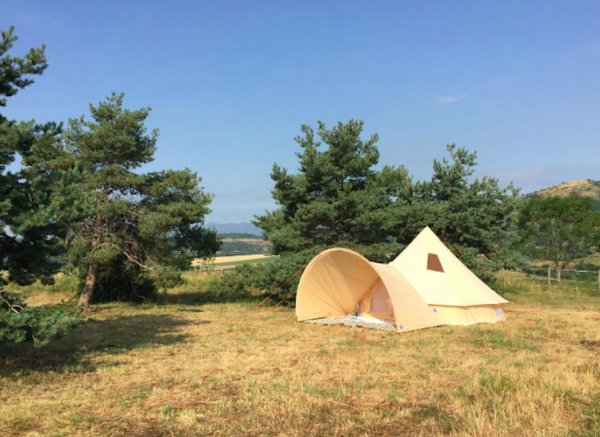 Lama Gîte des Puys — Photo 2