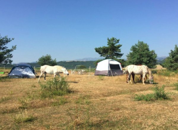 Lama Gîte des Puys — Photo 5