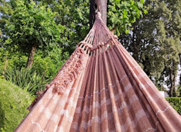 Quinta da Dourada — Photo 5