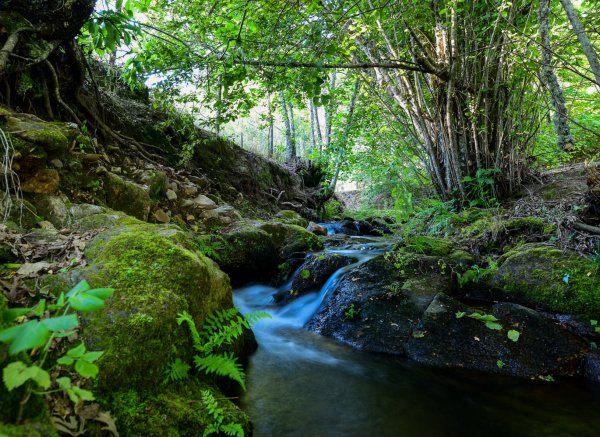 Quinta da Dourada — Photo 6
