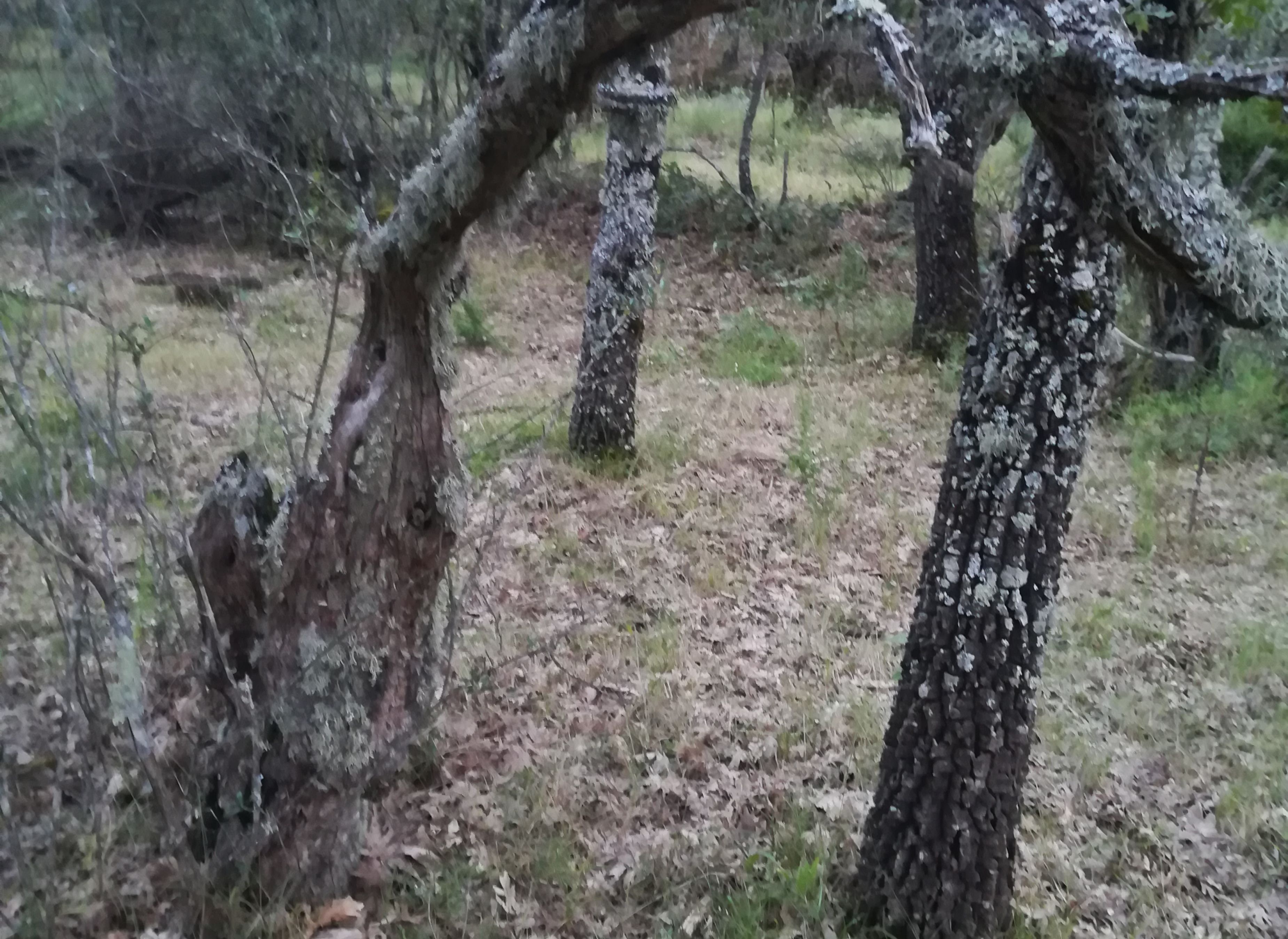 Vista alegre — Bobilplass in Torre de Don Miguel