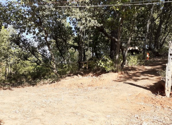 Vista alegre — Foto 3