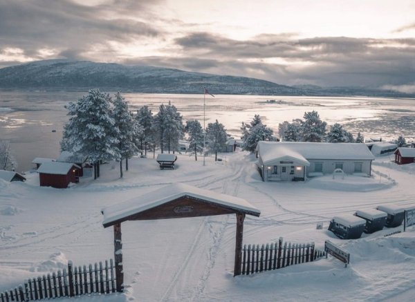 Norwegian Wild