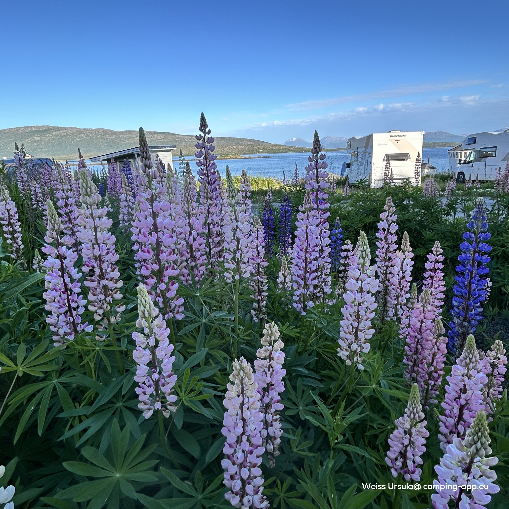 Norwegian Wild — Fotografie 2