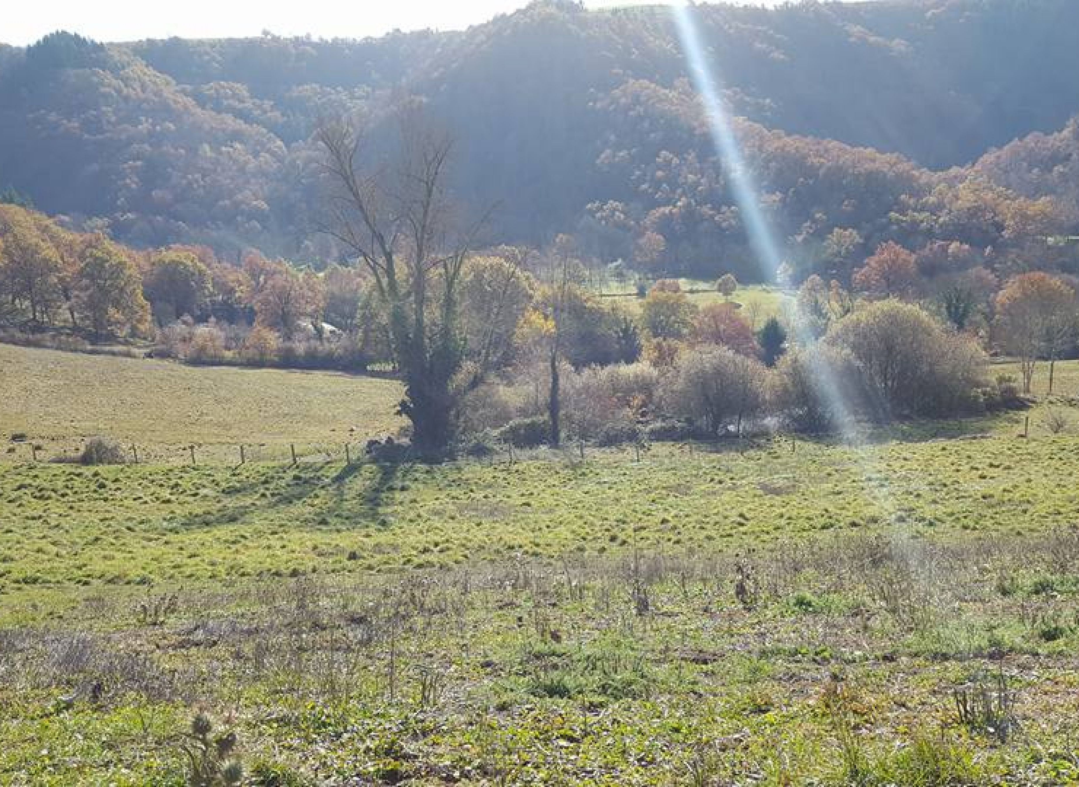 La ferme de Javy — Campervan Site in Centrès