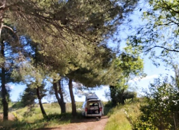 DOMAINE DE LA CONSEILLERE — Photo 2