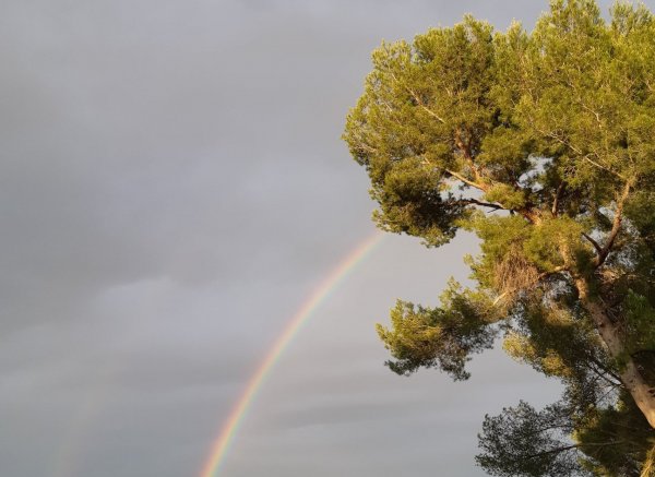 DOMAINE DE LA CONSEILLERE — Photo 3