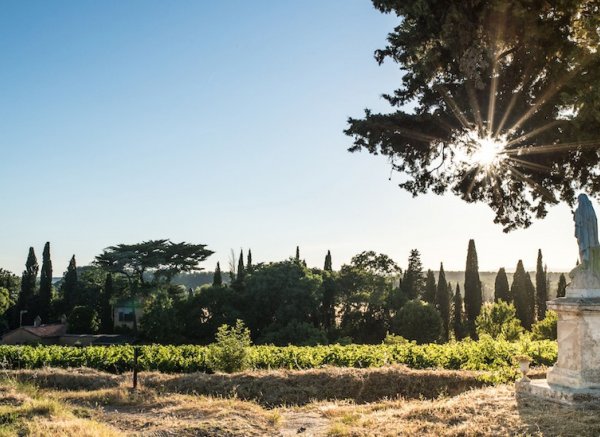 DOMAINE DE LA CONSEILLERE — Photo 6