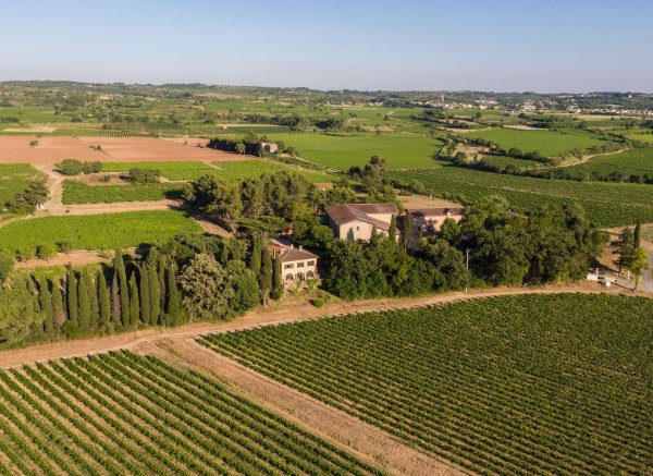 DOMAINE DE LA CONSEILLERE