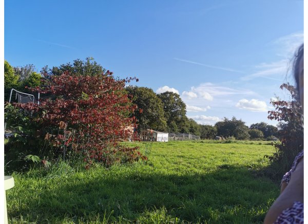 Le paradis — Photo 2