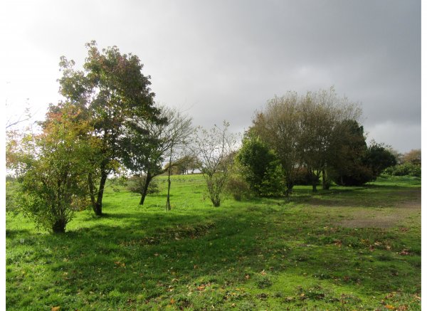 Le paradis — Photo 3