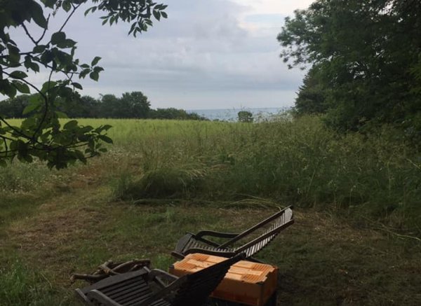 Thygegaard æbleplantage naturcamping — Foto 5
