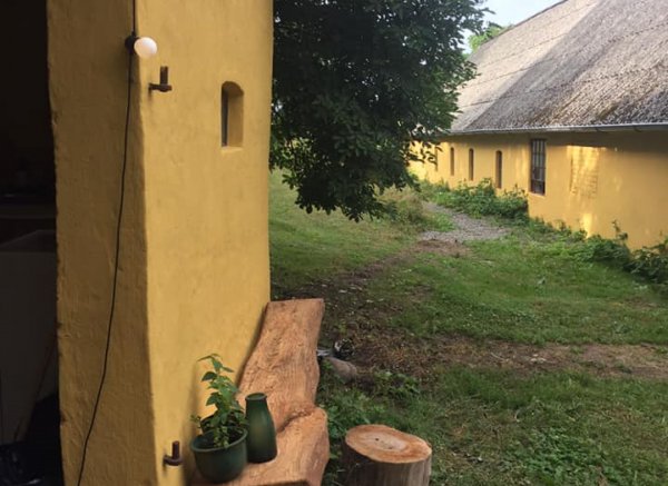 Thygegaard æbleplantage naturcamping — Foto 6