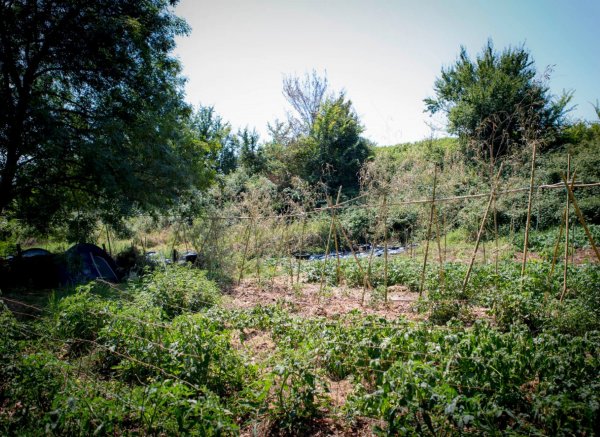 La Piraterie des Galinoux — Photo 3