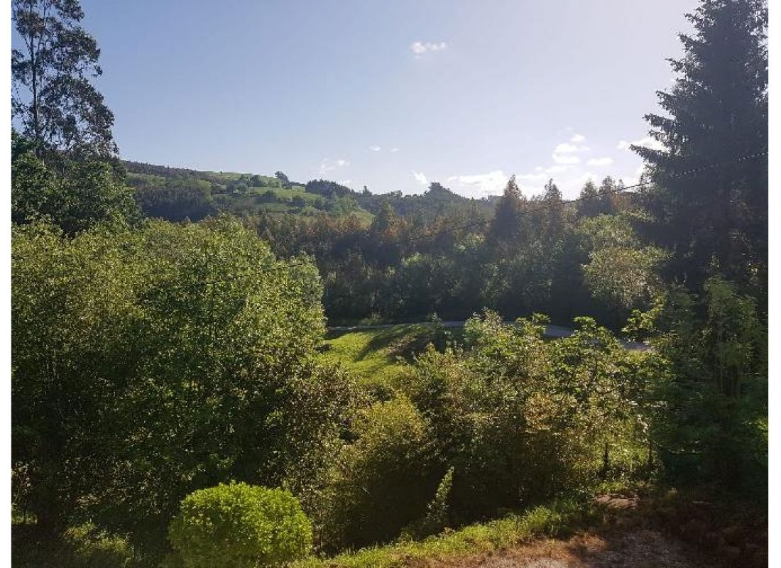 Finca  El Viejo Roble — Area di sosta in Entrambasaguas