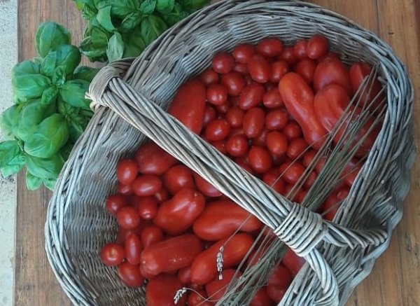 Agricamping La Brada Toscana — Photo 6