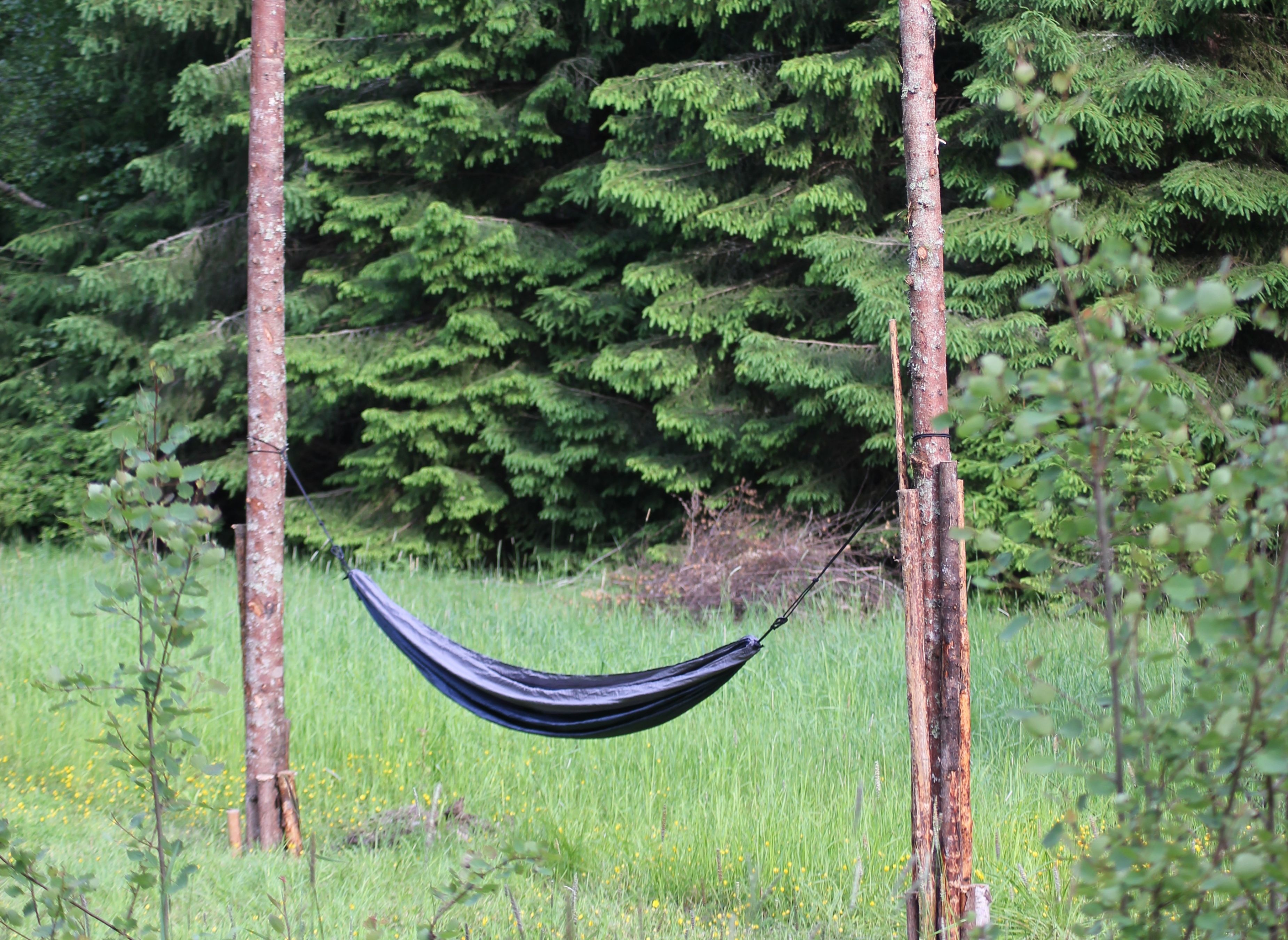 Nytorps Gläntan Camping, Newcrofts Glade Camping — Kemp in Mölnbo
