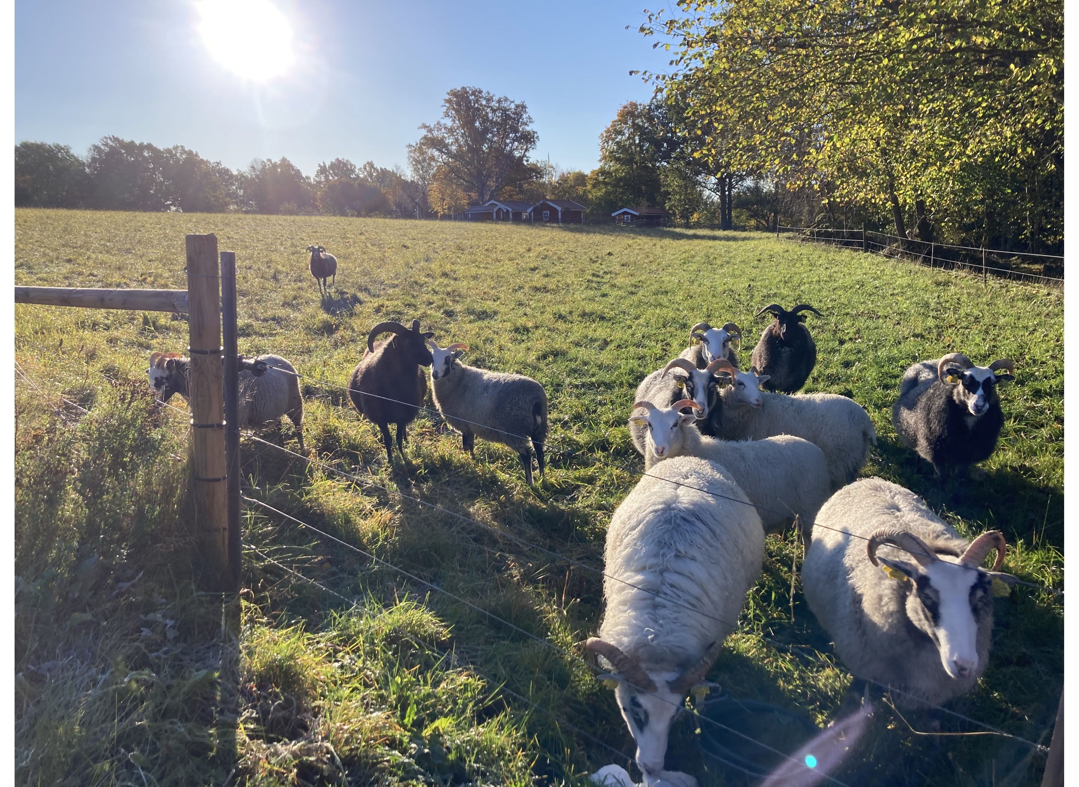Stenkulla Norregård 1 — Cámping in Rottne