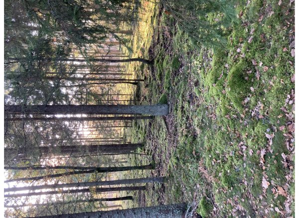 Stenkulla Norregård 1 — Photo 3