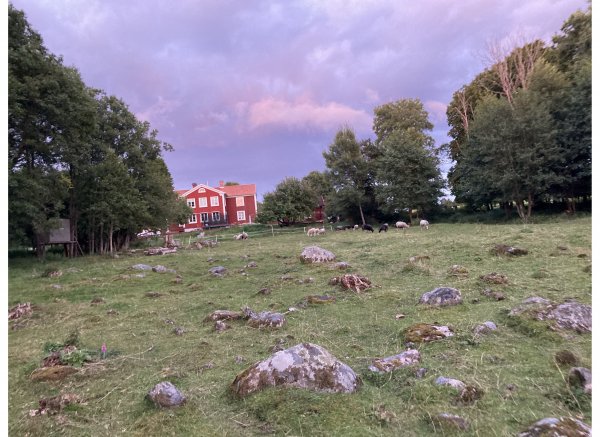 Stenkulla Norregård 1 — Photo 4