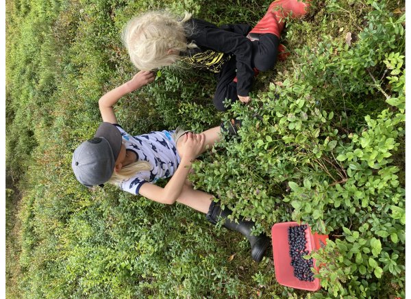 Stenkulla Norregård 1 — Photo 5