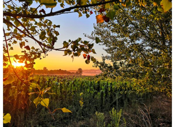 LAC SAINT GEORGES, Village Vacances & Camping avec vue sur les Pyrénées — Photo 5