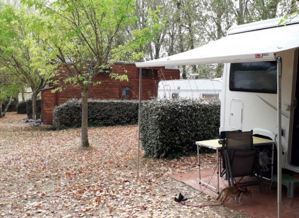LAC SAINT GEORGES, Village Vacances & Camping avec vue sur les Pyrénées — Photo 6