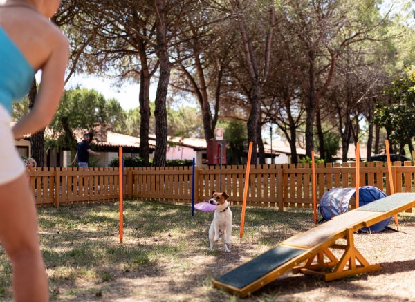 RESIDENCE PUNTA SPIN