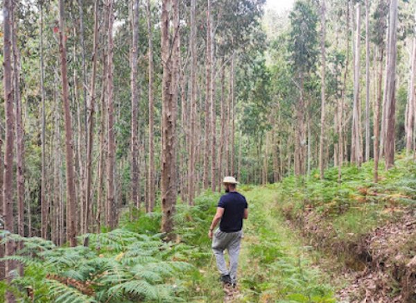 Camping Fragadeume — Photo 3