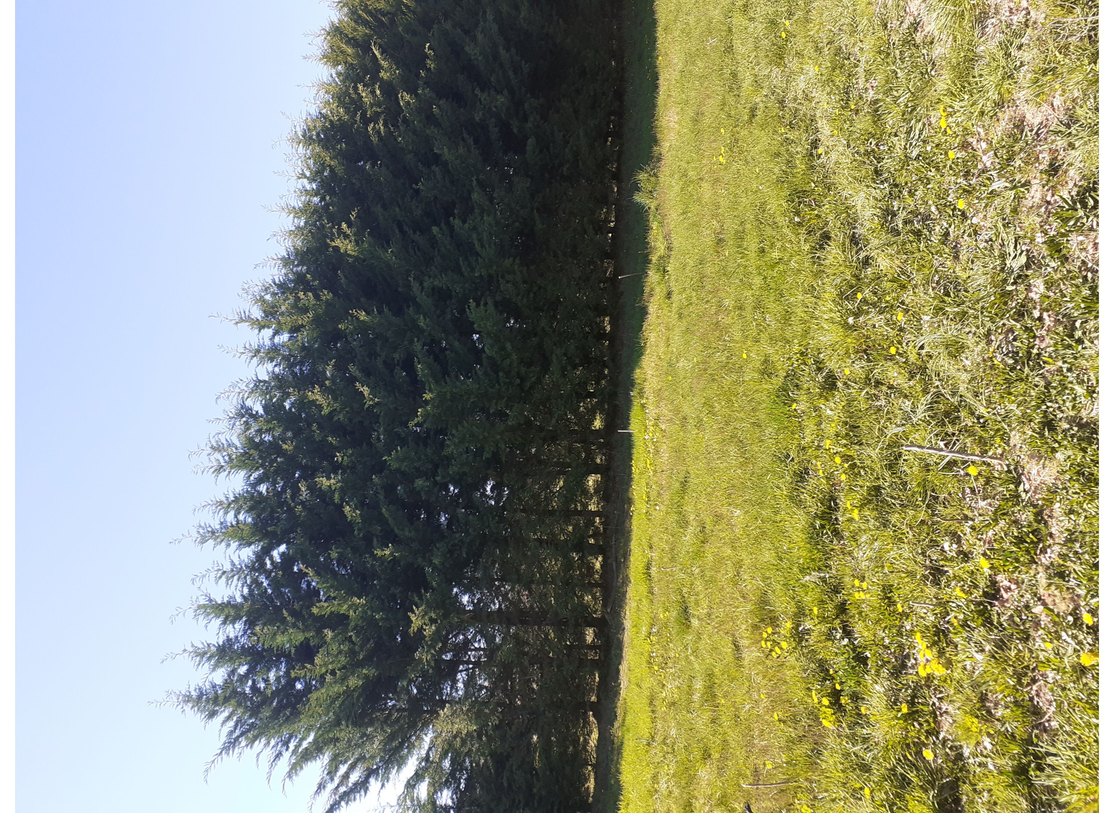 Emplacement avec vue sur les monts du Cantal — Kemping in Saint-Gérons