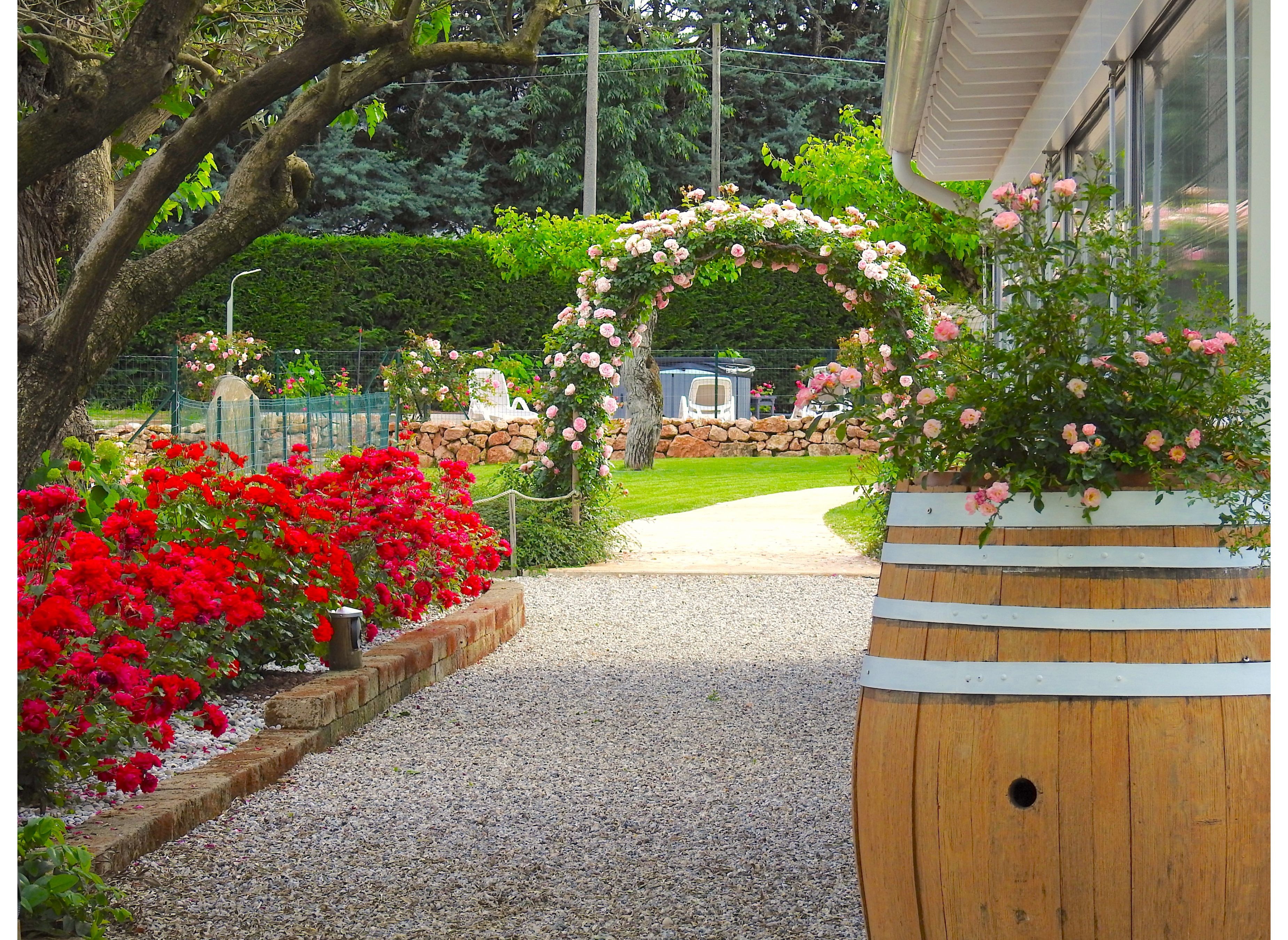 Agriturismo & AgriCamping Le Nosare — Camping Site in Provincia di Verona