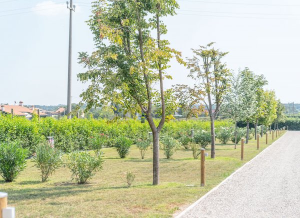 Agriturismo & AgriCamping Le Nosare — Photo 2