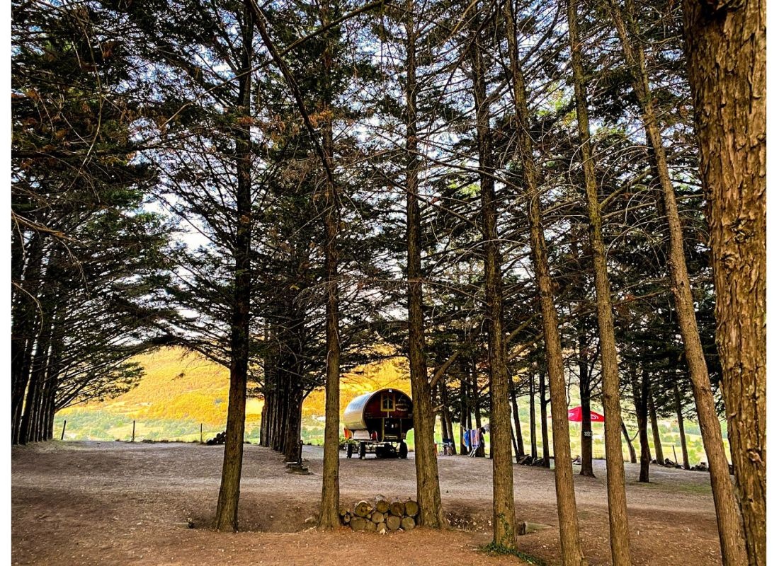 Camping Le Matin Calme *** — Aire camping car in Vesc