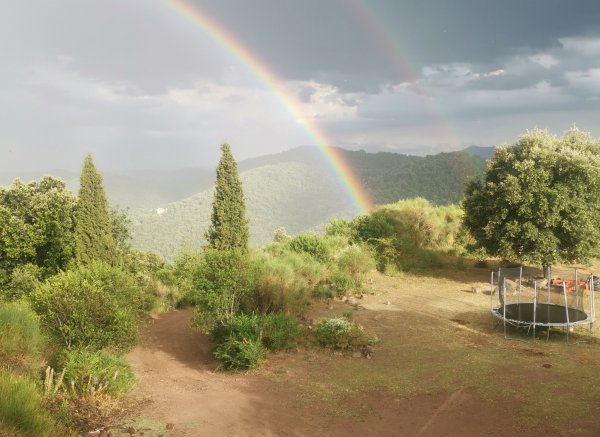 Mas la Badia — Foto 4