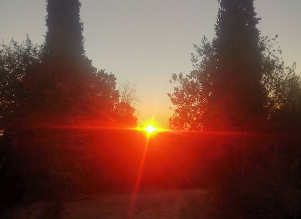 Mas la Badia — Photo 2