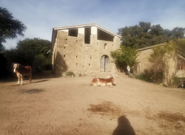 Mas la Badia — Photo 3