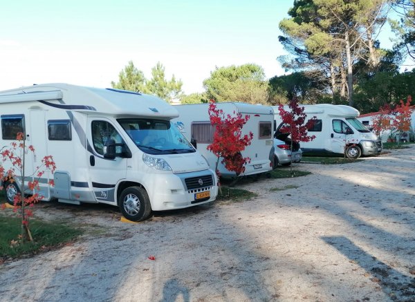 Quinta do Pinhoeiro — Photo 2