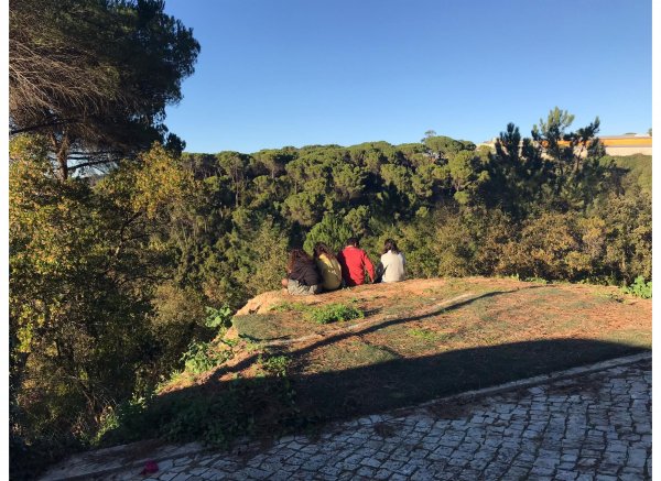 Quinta do Pinhoeiro — Photo 4